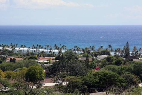 f0137324_2010174.jpg