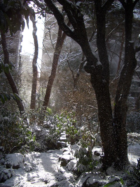 e0145328_2112815.jpg