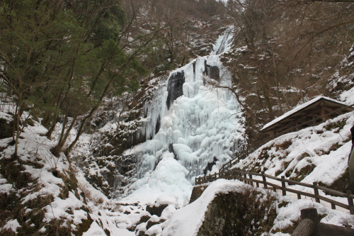 a0139631_8584778.jpg