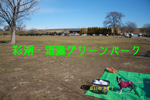a0190132_23582614.jpg