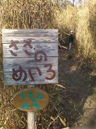 c0100534_1704132.jpg