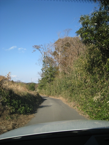 c0134734_0314248.jpg