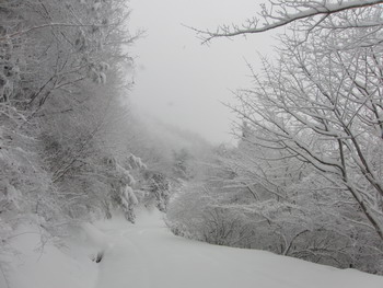 c0183137_22464716.jpg