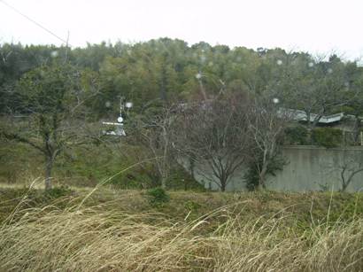 c0077338_6324964.jpg