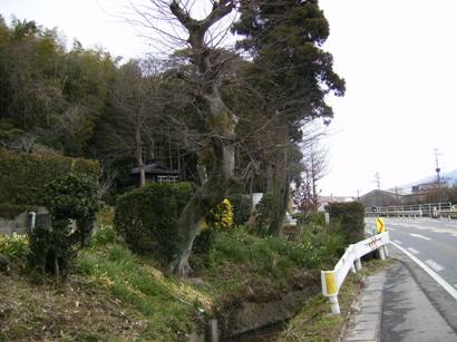 c0077338_6335614.jpg