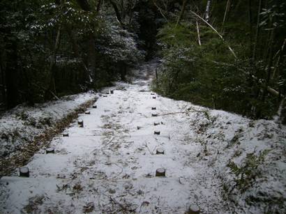 c0077338_6401425.jpg