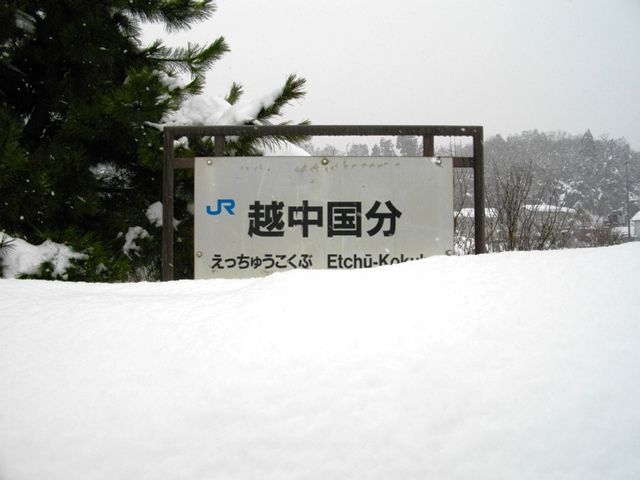 c0101739_20491141.jpg