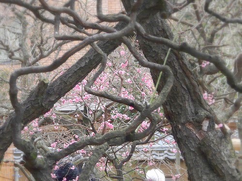 c0096941_8162199.jpg