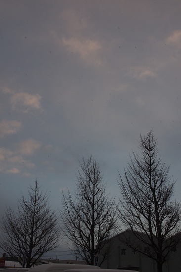 a0146442_23474980.jpg