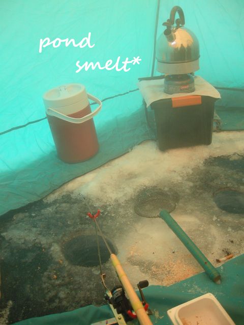 e0172842_13423110.jpg