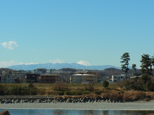 e0183648_20234610.jpg