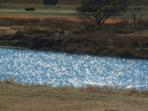 e0183648_20294537.jpg