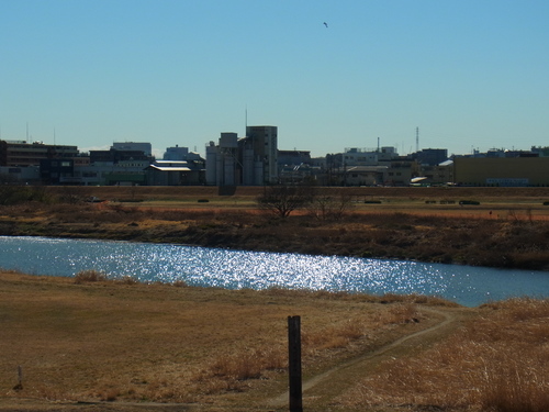e0183648_203031.jpg