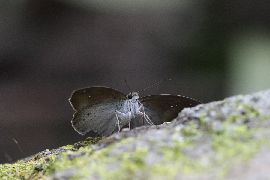 a0094850_11582014.jpg