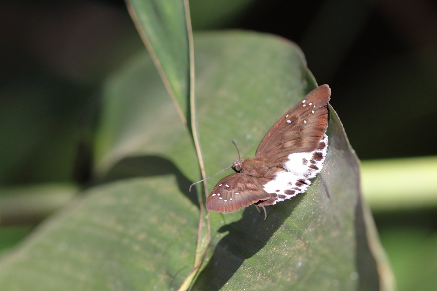 a0094850_1222585.jpg