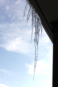 f0228053_037349.jpg