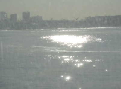 b0173754_14232930.jpg