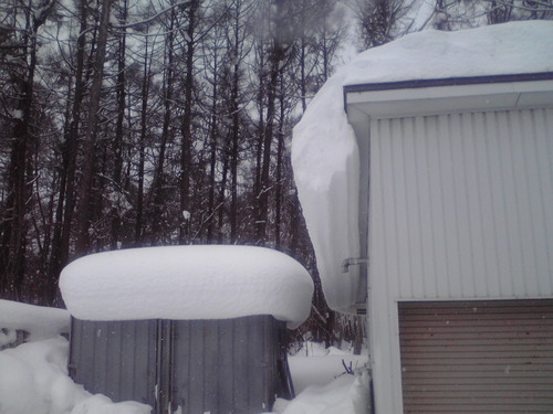 f0057955_21293677.jpg
