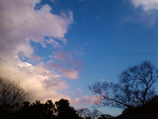 f0176458_1902617.jpg