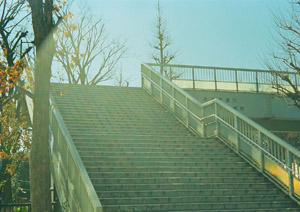 b0043961_22542389.jpg