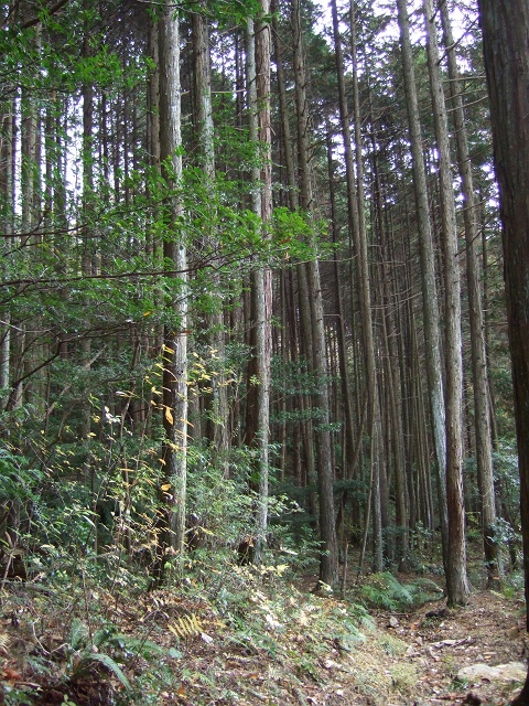 b0095061_10333580.jpg