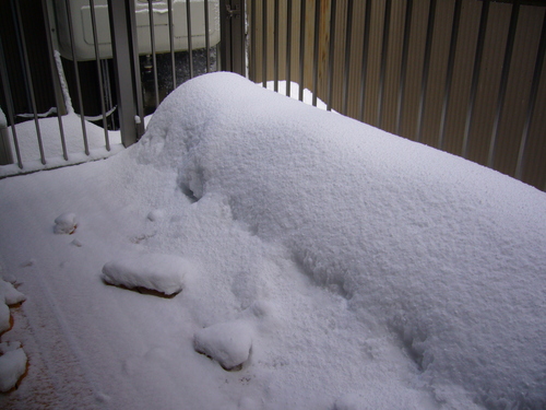 c0135361_10221450.jpg