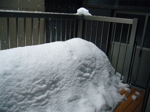 c0135361_1022349.jpg
