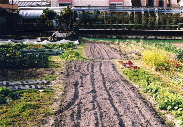c0082066_18383960.jpg