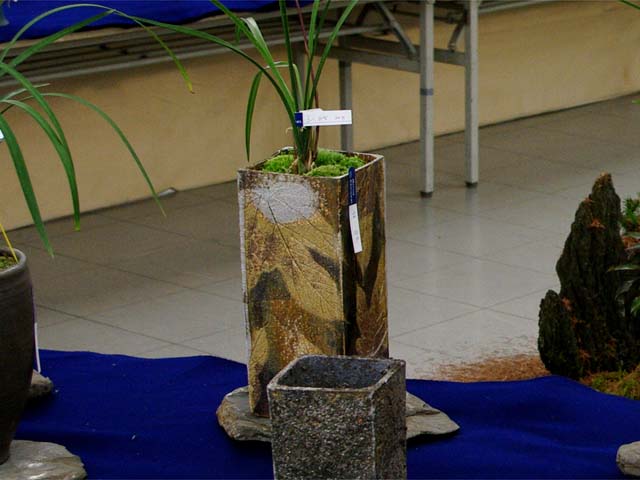c0068168_11433950.jpg