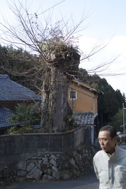 c0163369_1513529.jpg