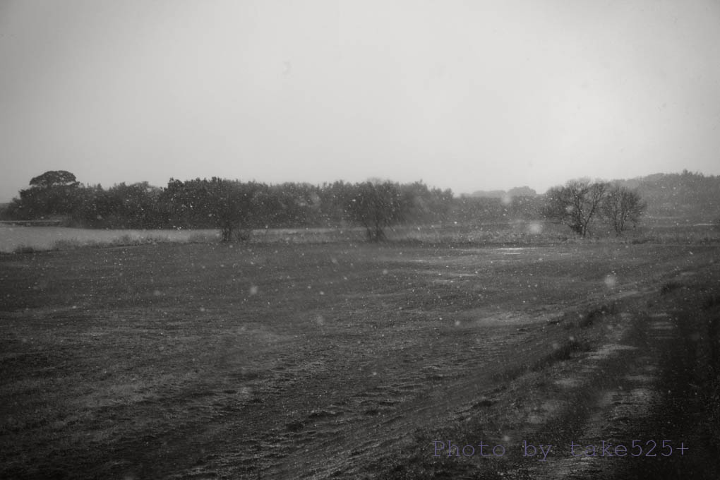 a0116571_21421177.jpg