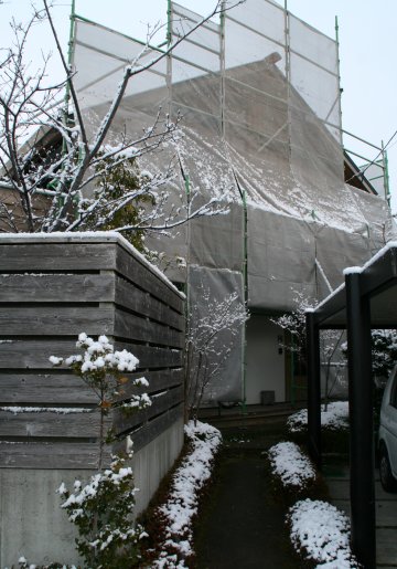 d0030373_19491052.jpg