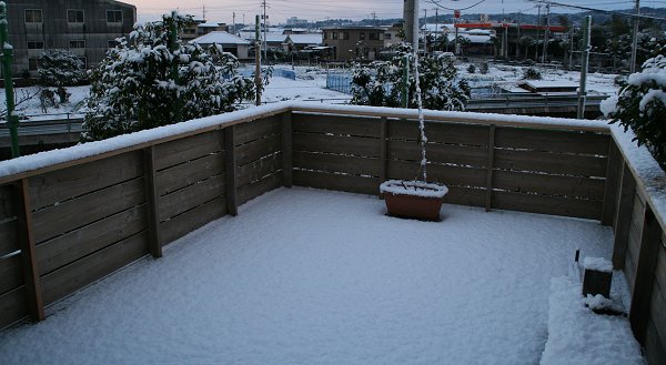 d0030373_19493957.jpg