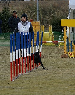 a0166575_18292618.jpg