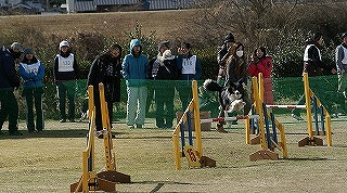 a0166575_18294957.jpg