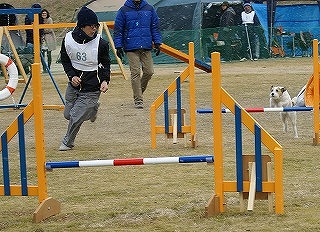 a0166575_1829683.jpg