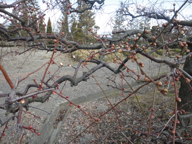 f0137275_4545798.jpg