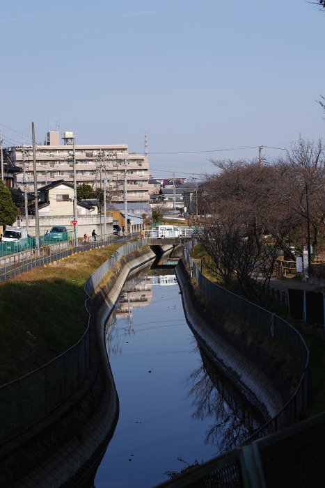 b0120979_1637740.jpg