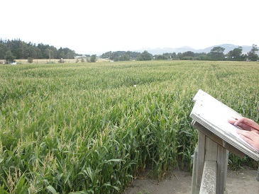 c0105680_5113140.jpg