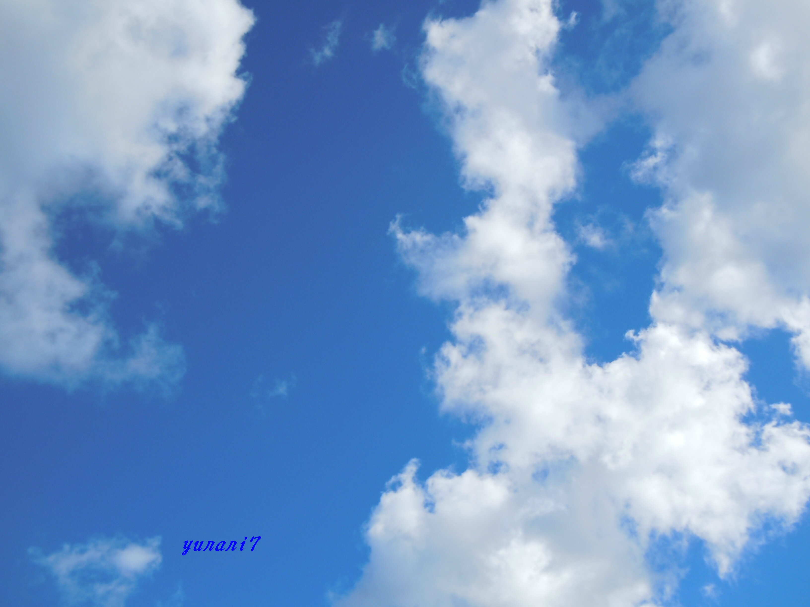 c0204385_23321124.jpg