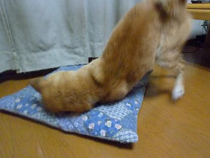 c0123890_2043070.jpg