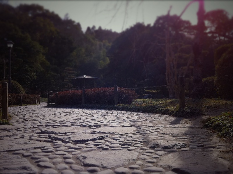 c0184491_18581277.jpg