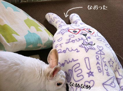 f0201191_23281572.jpg
