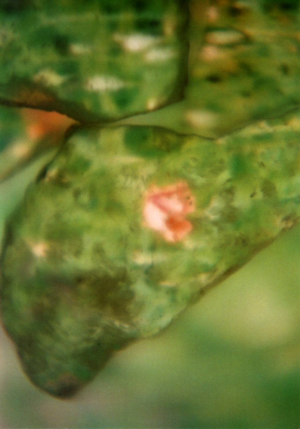 a0199297_12345459.jpg