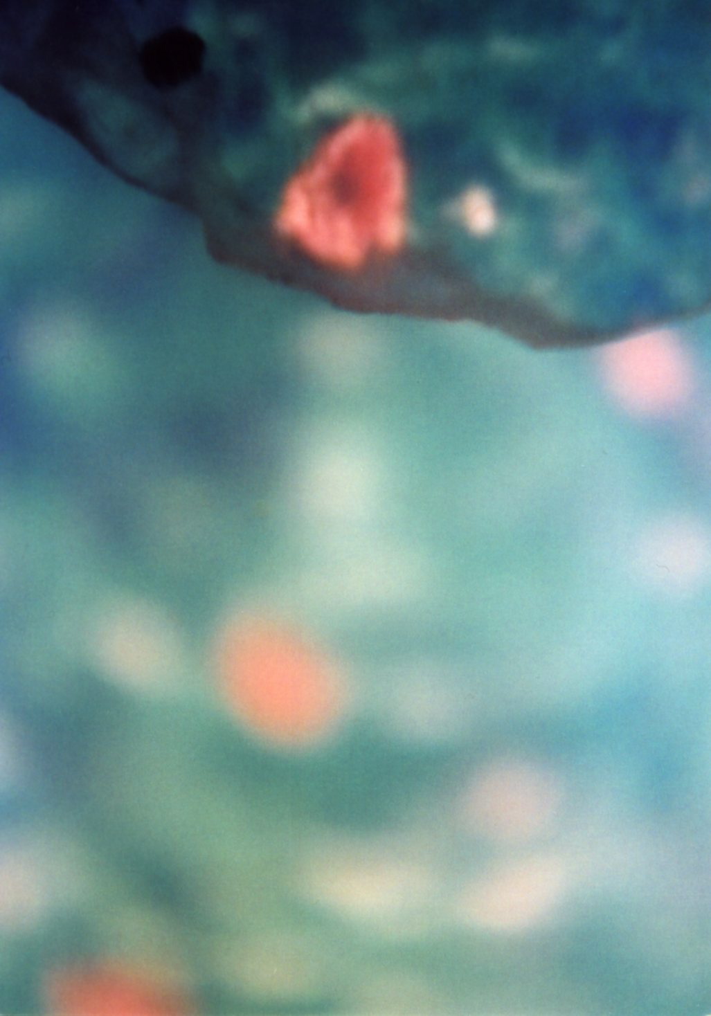 a0199297_1235121.jpg