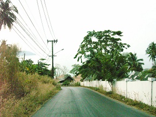 d0156797_17504546.jpg