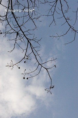 c0172101_19361888.jpg