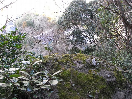 f0187402_16544474.jpg