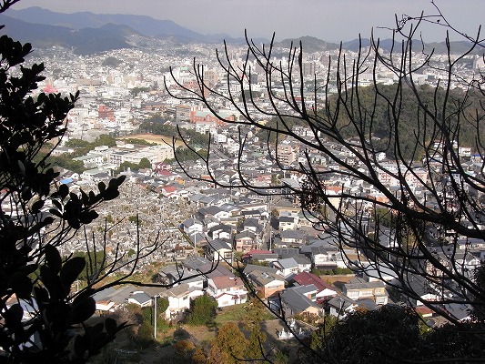 f0187402_16545411.jpg