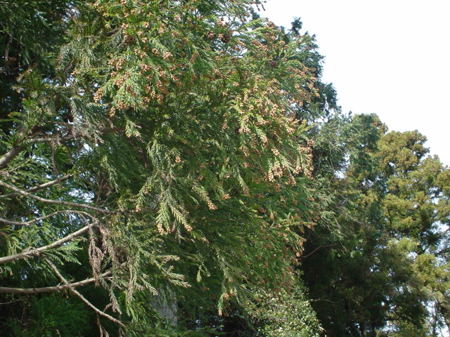 a0116205_21272547.jpg